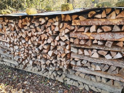 Brennholz