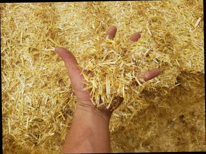 Bild 8:Übernehme Mais,Grasernte und Strohpressen