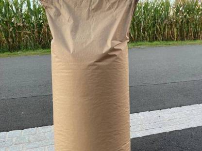 Bild 4:Steirischer Popcornmais - Sorten Butterfly und Mushroom