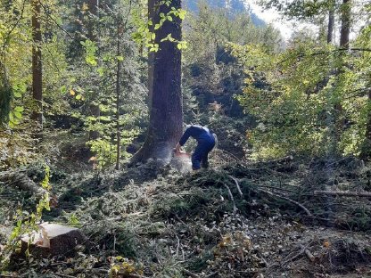 Bild 4:Forstdienstleistungen