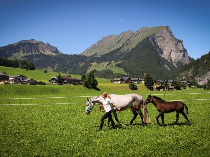 Bild 6:Praktikumsstelle September/Oktober 2025 zu vergeben