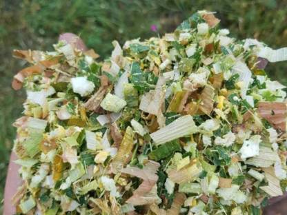 Bild 3:Übernehme Mais,Grasernte und Strohpressen