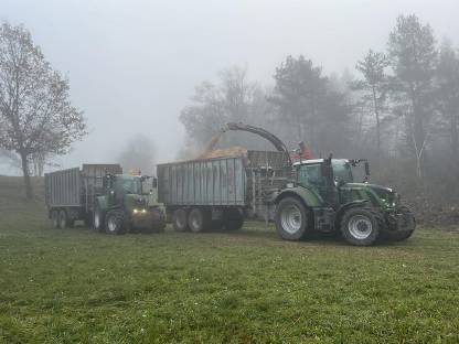 Bild 9:Land- und forstwirtschaftliche Dienstleistungen