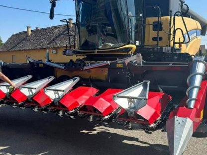 Bild 2:Dominoni Heder SL978BG-70 ROCK 8 2023