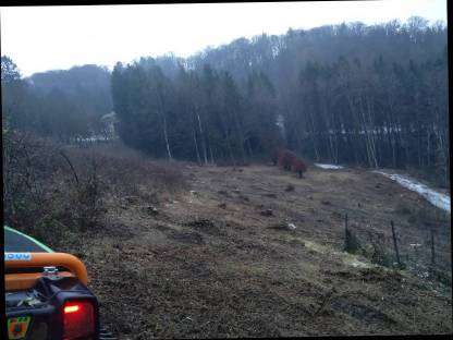 Bild 2:Mulchen / Böschungsmulchen