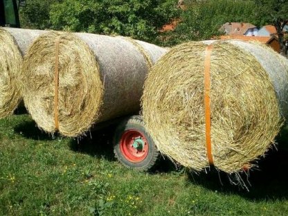 Bild 2:BIO Heu für Pferde - Bergheu Pferdeheu 2025