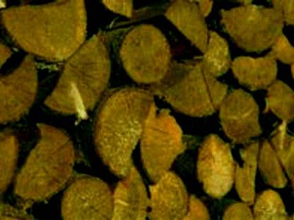 Brennholz weich