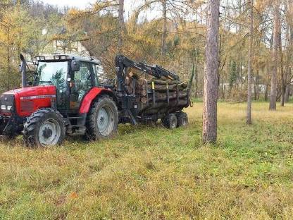 Bild 3:Holschlägerung