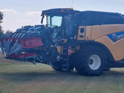 Bild 4:Dominoni Heder SL978BG-70 ROCK 8 2023