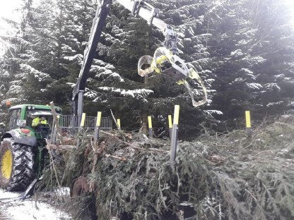 Bild 4:Energieholzernte mit Agrar Schneeberger