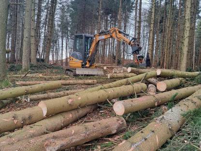 Bild 3:Rückearbeiten holz sortieren mit bagger