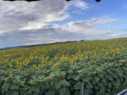 Bild 2:Suche Pachtfläche