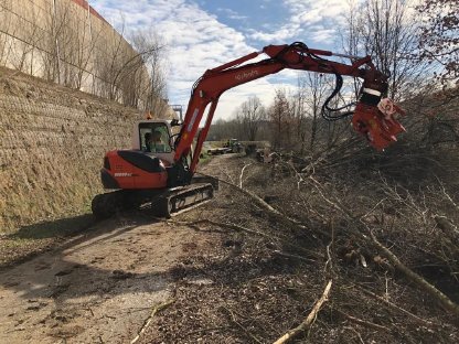 Bild 3:Energieholzernte mit Agrar Schneeberger