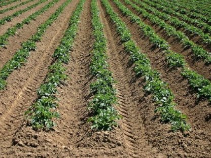 Bild 3:Suche Pachtfläche