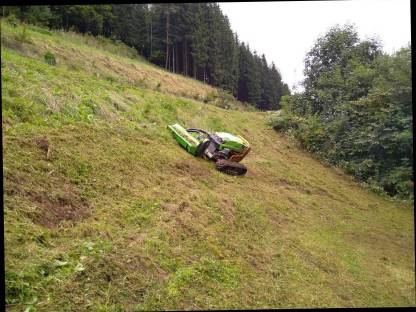 Bild 4:Mulchen / Böschungsmulchen