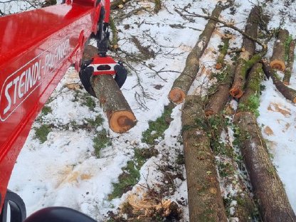 Bild 3:Forstarbeiten