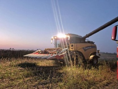 Bild 5:Dominoni Heder SL978BG-70 ROCK 8 2023