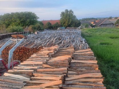 Bild 6:Brennholz trocken Aktion