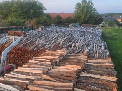 Bild 5:Brennholz trocken Aktion