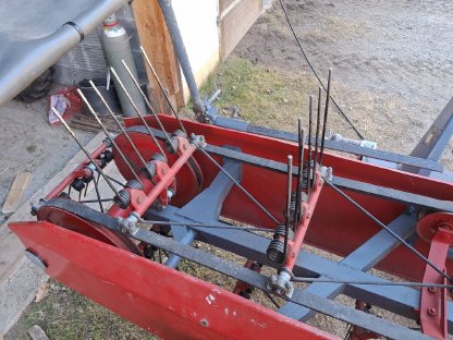 Bild 3:Heublitz Bandrechen Vogel und Noot