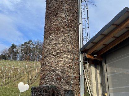 Ganzkornsilage Anlage mit Elevator ca. 13 m