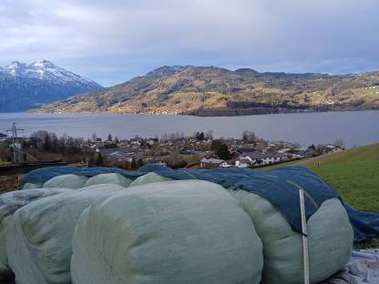 BIO Silageballen