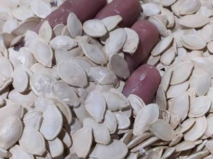 Bild 2:Pumpkin Seeds