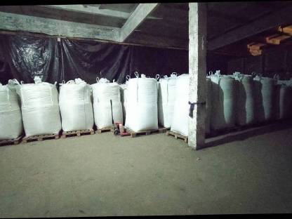 Bild 4:Pumpkin Seeds