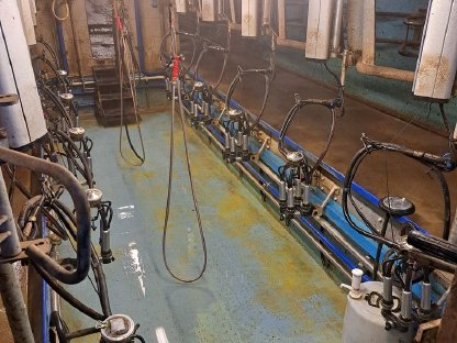 Delaval Melkstand mit Tank