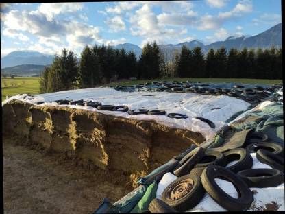 Verkaufe Silage aus Fahrsilo