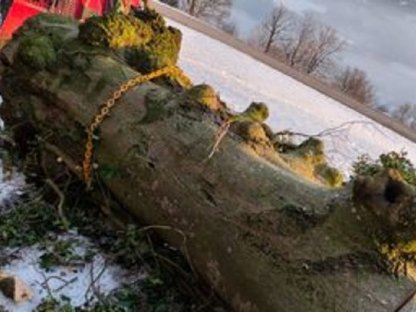 Holz für Tischplatte, für Künstler, für Kunstharzarbeiten