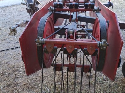 Bild 6:Heublitz Bandrechen Vogel und Noot