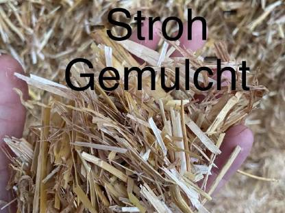 Stroh Gemulcht