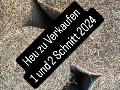 Heu 1 Schnitt 2024