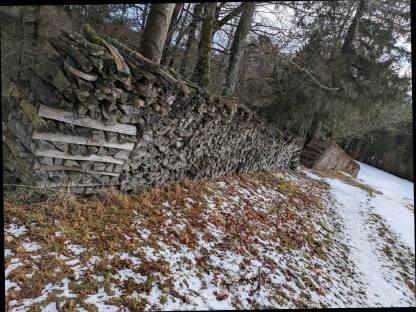 Gemischtes Brennholz Scheiter