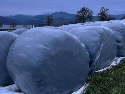 Bio-Siloballen zu verkaufen