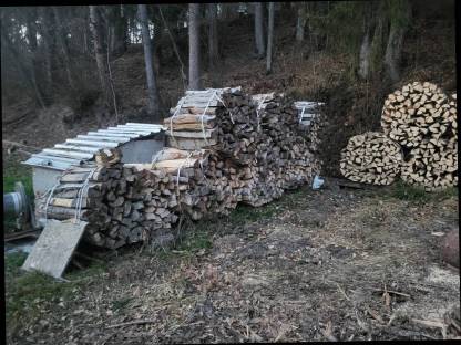 Bild 2:Brennholz