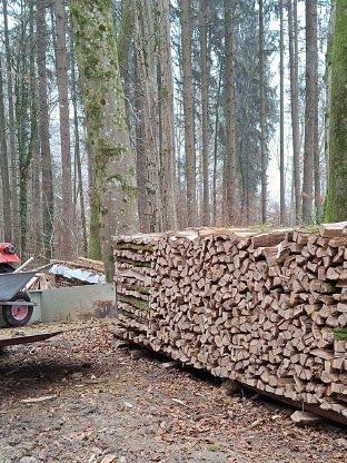 Brennholz zu verkaufen