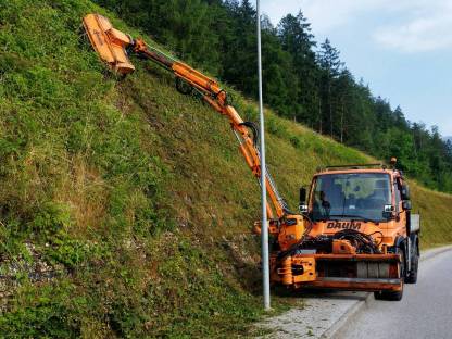 Bild 7:Mulchen, Landschaftspflege