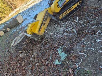 Bild 2:Dienstleistungen