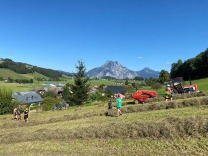 Bild 3:Heuballen klein