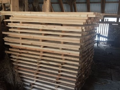 Bild 3:Lärchenstippel