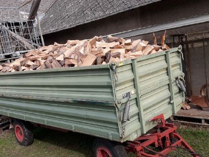 Heimische Buche aus NÖ - Brennholz 33 cm, heizfertig trocken.