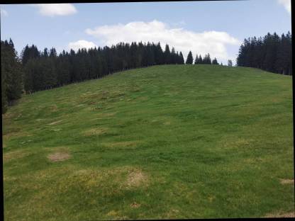 Weideplätze auf der Sommeralm zu vergeben