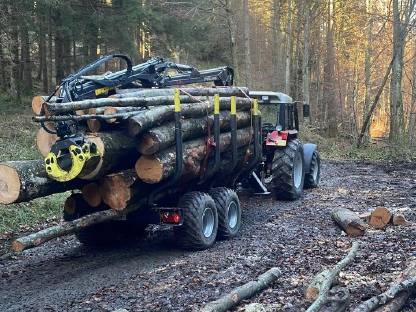 Bild 2:Durchforstung, Forstarbeiten, K300, Holzfällungen