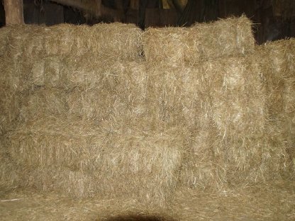 Bild 2:Heu