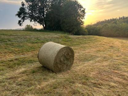 Bio-Heurundballen