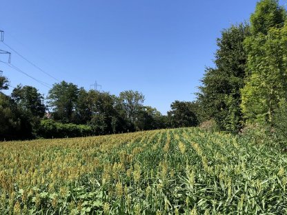Ca. 1,3 ha in Preding zu verkaufen