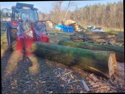 Forstarbeiten, Holzschlägerung