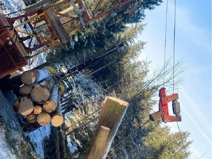 Bild 3:Durchforstung, Forstarbeiten, K300, Holzfällungen